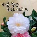 기분좋은하루