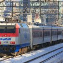 H1503 이미지