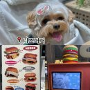 니즈버거청라점