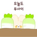 라인컴퓨터 이미지