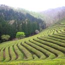 다실축산 이미지