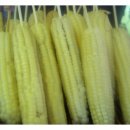 보일농수산 이미지