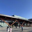 씨유 영흥숲공원점 | [수원 유아숲체험] 영흥숲공원 '산들생태학교' 6세 찐후기 (1회 2만원/분리수업)