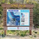 100세동안 목포점 | 목포해상케이블카 크리스탈캐빈 목포여행 볼거리 가볼만한곳 필수코스