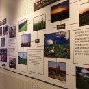 어린이 문화유산 실감교육 이미지