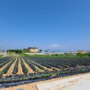 강화길공인중개사사무소 이미지