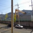 정촌면-3 이미지