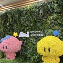 나음펫 | 26.01 대전[성심당]딸기시루 웨이팅 후기 (딸기튀소 존맛탱이얏~~~)