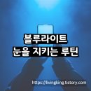 블루라이트 차단 루틴: 디지털 기기 사용자를 위한 눈 피로 관리법