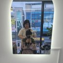 하라힐즈 군산조촌점 | 뷰티앤하라힐즈에서 두피클리닉 받고왔어요 #군산두피클리닉 #수송동두피클리닉 #두피클리닉