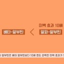 안언니