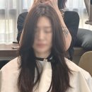 트랜디한 예쁜 머리로 변신하고 싶다면 청주 미용실 추천 프리메로 헤어