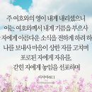 61 이미지