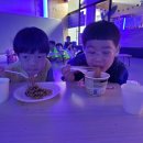 명장돌려차기태권도장