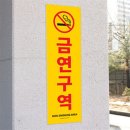 쏘쏘 - 양평군 용문산로 120-5 | 쏘쏘