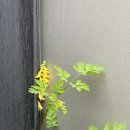 메타포32 이미지