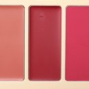 로지앤크림 rosy&cream | 호미어 맥세이프 립앤치크 3종 후기