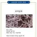 보석상자 이미지