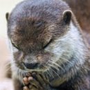 축협하나로마트 이미지