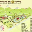 트레이닝컨설팅