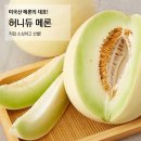 허니듀 이미지