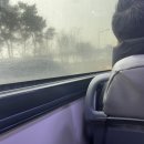 세이브존건강한약국 | 헌질랜드? 아니구요 뉴질랜드 1-2일차 (대한항공 kE411, 에어뉴질랜드 죽음의 캔슬,microtel by wyndham...