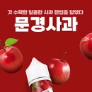 제주수제담배