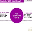 릴렉스피부샵 네이버블로그