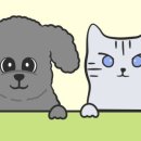 가나동물병원 이미지