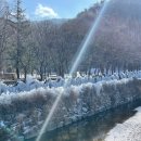 상소동 산림욕장(하) | [대전 동구] 상소동 산림욕장 / 얼음동산 후기 현재 얼음상태 더 추워지고 방문 추천드립니다 대전가볼...