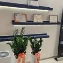 마노필의원 이미지