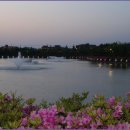 쌍암공원3 이미지