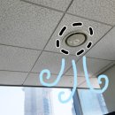 화이트하우스 이미지