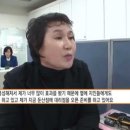 에코헤나디톡스 네이버블로그