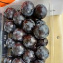 연원5길 이미지