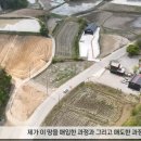 장평리라인 네이버블로그