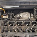 고산카센타 이미지