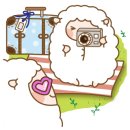 한가람행정사사무소 이미지