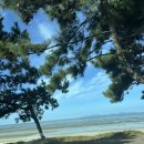 캠프메리어라운드 이미지