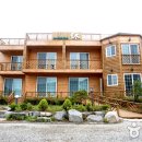 소나무 숲 리조트 이미지