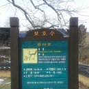 감나무집할머니 이미지