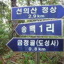 송백1리 이미지