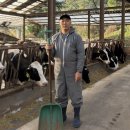 송촌목장 거제인터넷뉴스