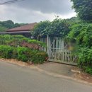 금관부동산중개사무소 이미지