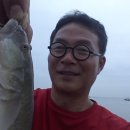 대진낚시