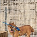 개판살판 이미지