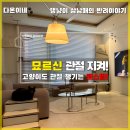 다온펫# | 반려동물 계단 추천-인테리어도 살리고, 반려동물 관절도 지키기! [웨글루홈 펫스텝]
