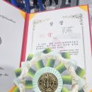 종로애견미용 이미지