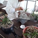 우송농장 이미지