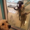 애니몰하우스 이미지